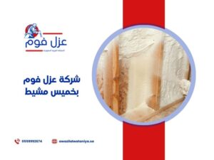 شركة عزل فوم بخميس مشيط  